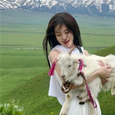 不羁骑士